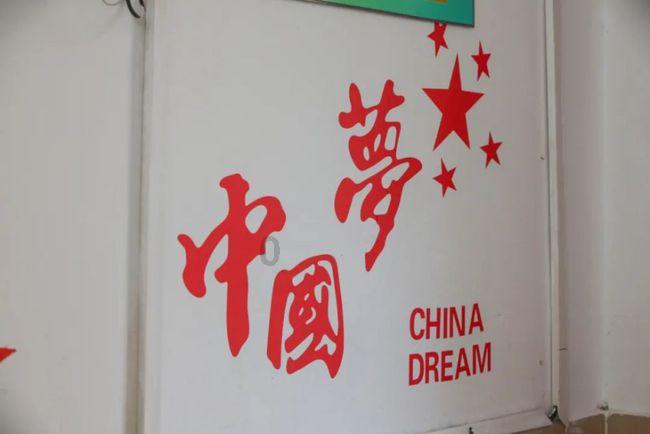 植物大战僵尸14